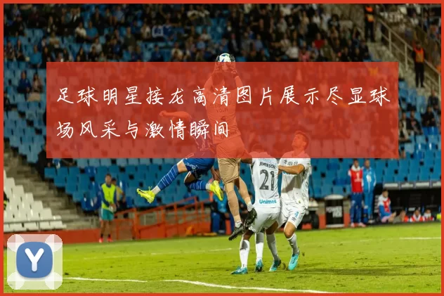 足球明星接龙高清图片展示尽显球场风采与激情瞬间