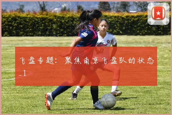 飞盘专题：聚焦南京飞盘队的状态_1