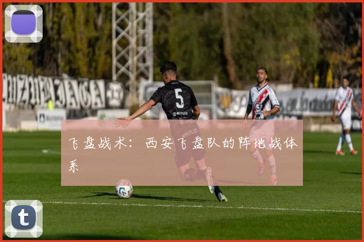 飞盘战术：西安飞盘队的阵地战体系